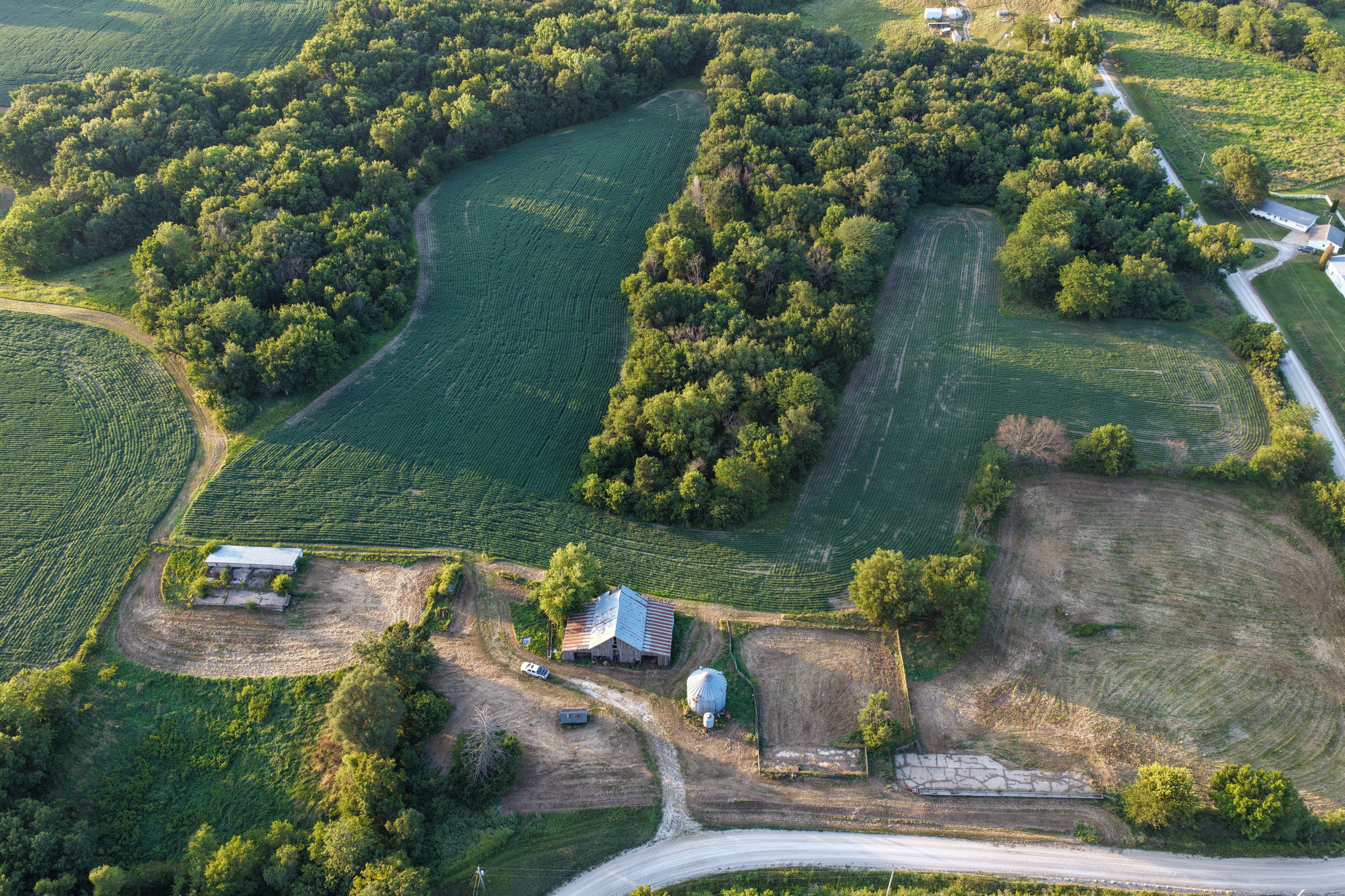 Listing Photo: Whitetail Hunting Farm Mahaska County Iowa-110